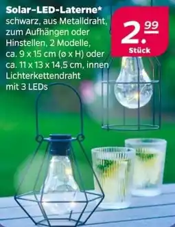 NETTO Solar-LED-Laterne Angebot