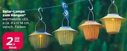 NETTO Solar-Lampe zum Hängen Angebot