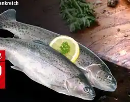Handelshof Forellen Angebot