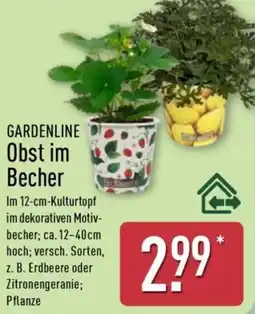 Aldi Nord GARDENLINE Obst im Becher Angebot