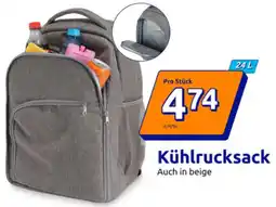 Action Kühlrucksack Angebot