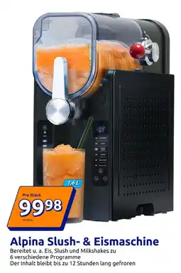 Action Alpina slush- & eismaschine Angebot