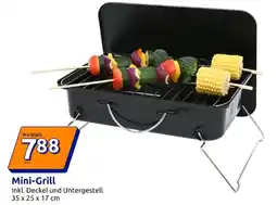 Action Mini-grill Angebot