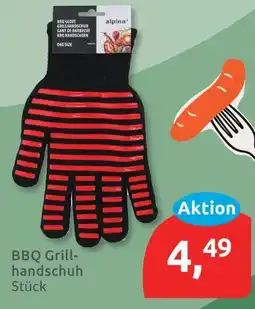 Budni Alpina bbq grillhandschuh Angebot