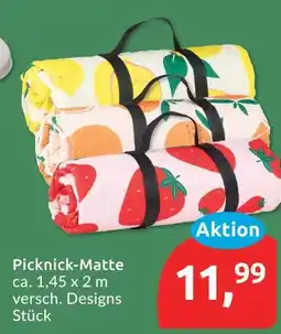 Budni Picknick-matte Angebot