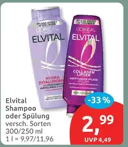 Budni Elvital shampoo oder spülung Angebot