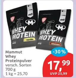 Budni Mammut whey proteinpulver Angebot