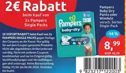 Budni Pampers baby dry pants Angebot