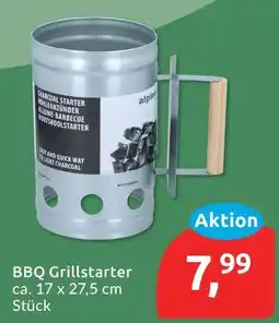 Budni Bbq grillstarter Angebot