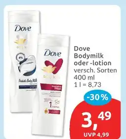Budni Dove bodymilk oder -lotion Angebot