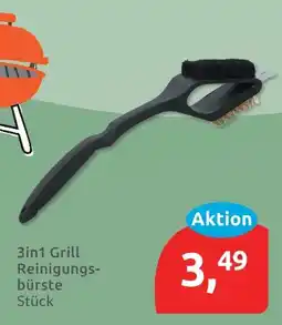 Budni 3in1 grill reinigungsbürste Angebot