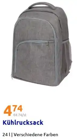 Action Kühlrucksack Angebot