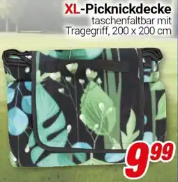 CENTERSHOP XL-Picknickdecke Angebot