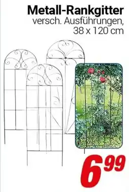 CENTERSHOP Metall-Rankgitter Angebot