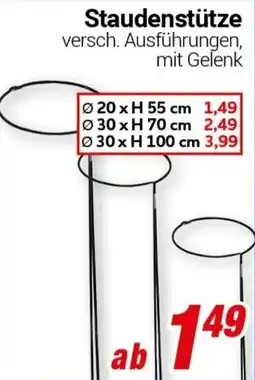 CENTERSHOP Staudenstütze Angebot