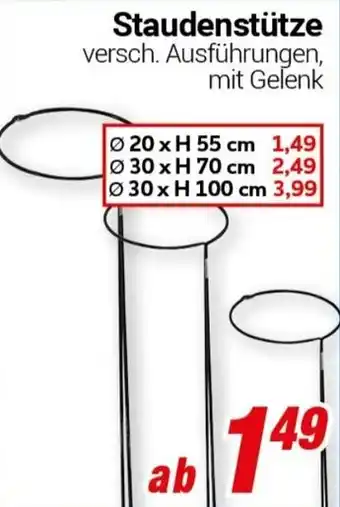 CENTERSHOP Staudenstütze Angebot