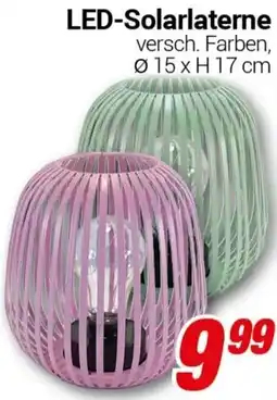 CENTERSHOP FISCHER LED-Solarlaterne Angebot