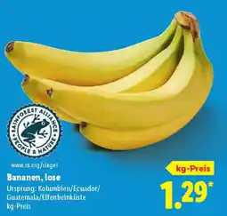 Lidl Bananen,lose Angebot