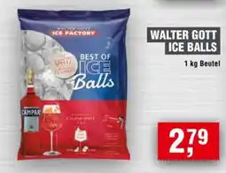 Handelshof WALTER GOTT ICE BALLS Angebot