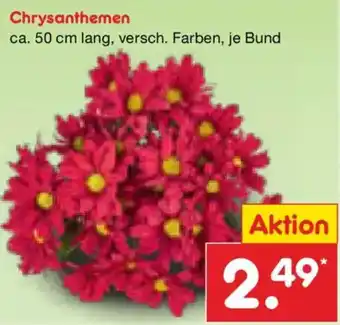 Netto Marken-Discount Chrysanthemen Angebot