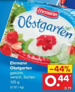 Netto Marken-Discount Ehrmann Obstgarten Angebot