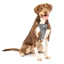 Netto Marken-Discount Kurgo Tru-Fit Autosicherheitsgeschirr für Hunde, Größe M, Grau Angebot