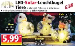 Norma I-GLOW LED-Solar-Leuchtkugel Tiere Angebot