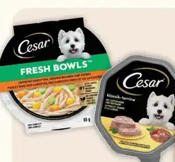 Fressnapf Cesar Hunde Nassnahrung Angebot