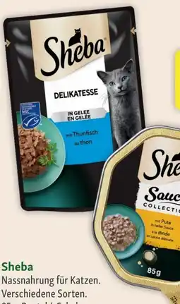 Fressnapf Sheba Katzen-Nassnahrung Angebot