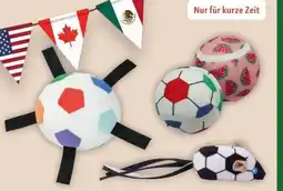 Fressnapf FIT+FUN Spielzeug Worldcup Angebot