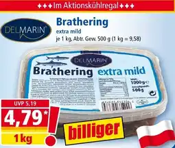 Norma DELMARIN Brathering Angebot