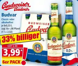 Norma Budweiser Budvar Angebot