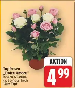 E-Center Topfrosen dolce amore Angebot