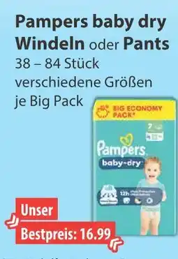 V Markt Pampers baby dry windeln Angebot