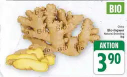 E-Center Bio-ingwer Angebot