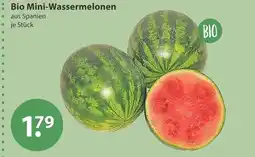 V Markt Bio mini-wassermelonen Angebot