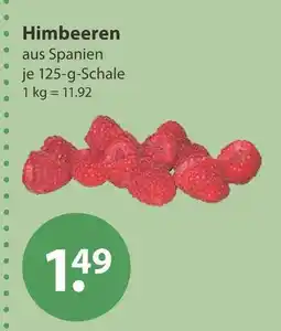 V Markt Himbeeren Angebot