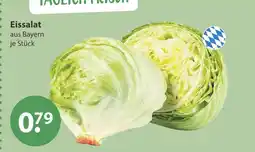 V Markt Eissalat Angebot