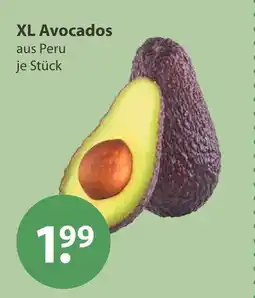 V Markt Xl avocados Angebot