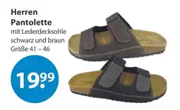 V Markt Herren pantolette Angebot
