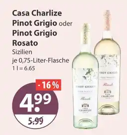 V Markt Casa charlize pinot grigio Angebot
