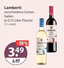 V Markt Lamberti pinot grigio Angebot