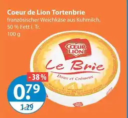 V Markt Coeur de lion tortenbrie Angebot