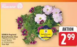 E-Center Edeka regional beetpflanzen-duo Angebot