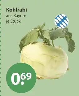 V Markt Kohlrabi Angebot