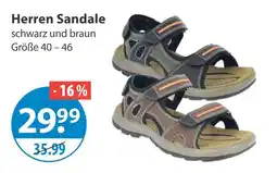 V Markt Herren sandale Angebot