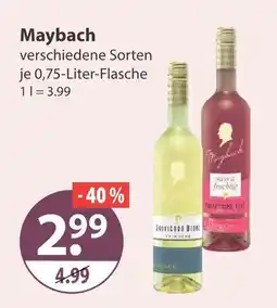 V Markt Maybach Angebot