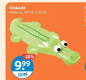 V Markt Krokodil Angebot