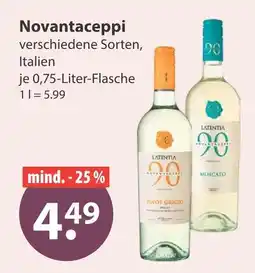 V Markt Novantaceppi Angebot