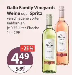 V Markt Gallo family vineyards moscato Angebot